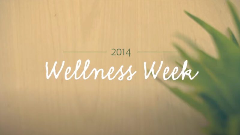 Wellness festival 2014