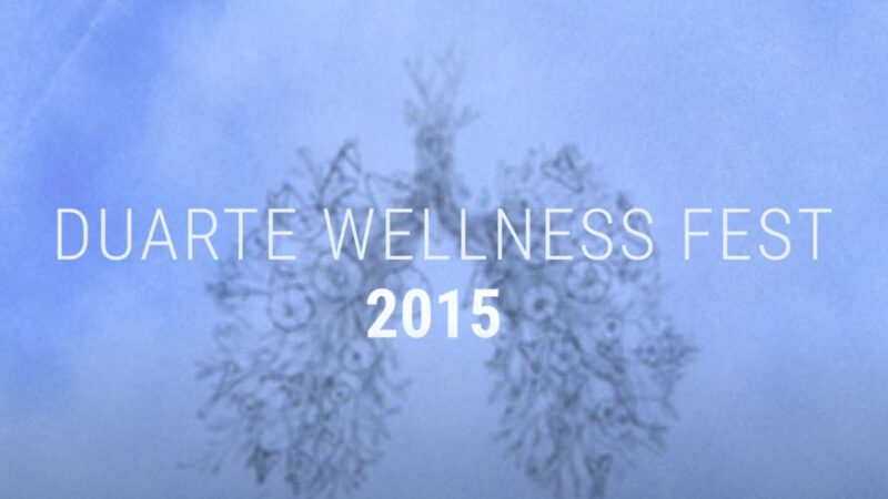 just breathe wellness fest 2015