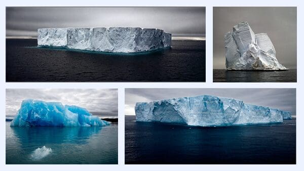 Collage of photos taken by Camille Seaman's of the last iceberg