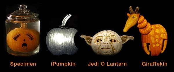 Duarte pumpkin carving contest. A pumpkin in a jar, a pumpkin carved into the apple logo, yoda pumpkin, giraffe pumpkin