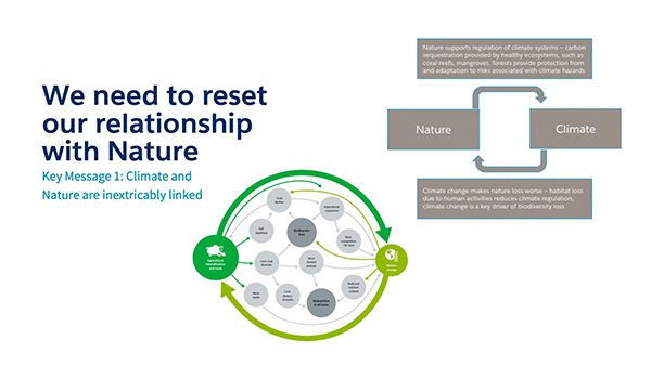 Salesforce Nature Positive key message slide before