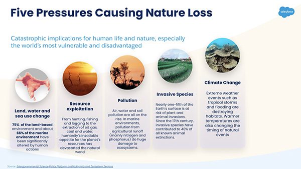 Salesforce Nature Positive "Five pressures causing nature loss" slide before