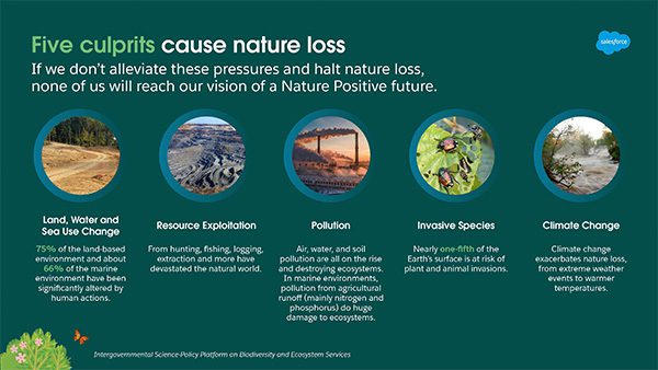 Salesforce Nature Positive "The World needs urgent action for nature" slide after