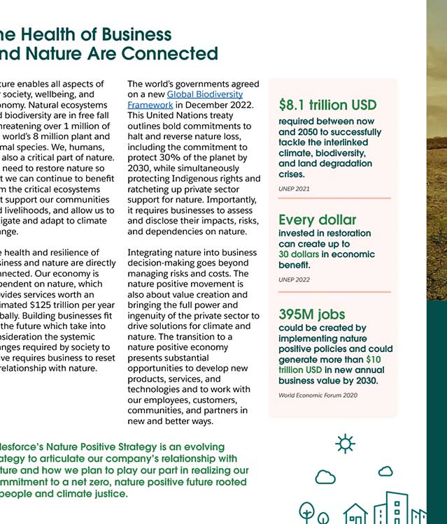 Salesforce Nature Positive white paper example 2