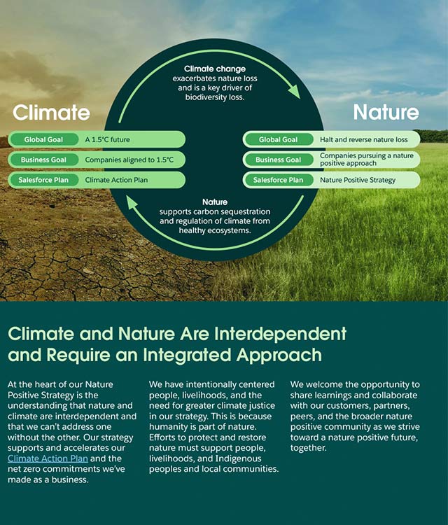 Salesforce Nature Positive white paper example 3